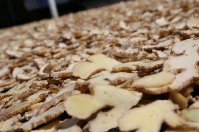 大暑節(jié)氣的習(xí)俗，主要有喝伏茶、燒伏香、曬伏姜