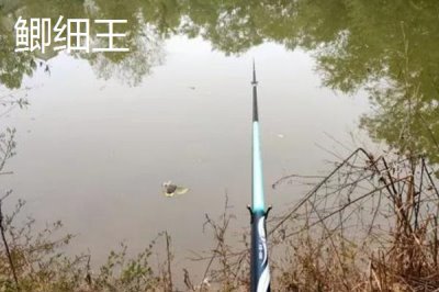 鯽魚竿十大品牌排行，寶飛龍遠(yuǎn)銷全球各地