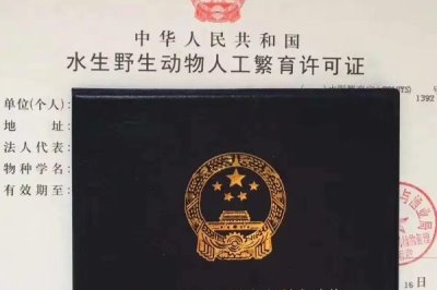最輕巧的養(yǎng)殖業(yè)，梅花鹿養(yǎng)殖容易且產(chǎn)品暢銷
