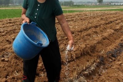 如何選擇和施用復(fù)混肥，可根據(jù)氣候條件、土壤狀況、肥料性質(zhì)等來選擇