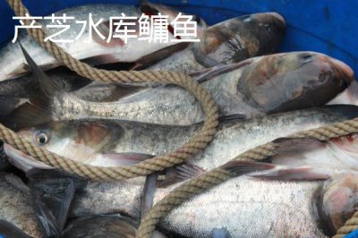 山東萊西的特產(chǎn)，是國務(wù)院確定的沿海地區(qū)對外開放縣市之一