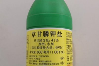 草甘膦鉀鹽和銨鹽的區(qū)別，制作方式和除草效果均不同