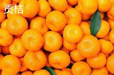 橘子品種介紹，產(chǎn)地不同各具特色