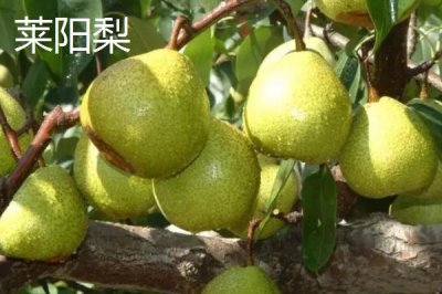 山東省臨清市的特產(chǎn)，臨清醬牛蹄、濟(jì)美醬菜、拖板豆腐均為傳統(tǒng)名吃