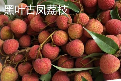 廣西梧州市的特產(chǎn)，上湯河粉是梧州的特色美食