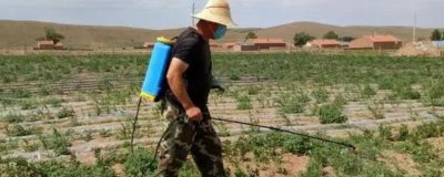除草劑3打3不打指的是什么，打大不打小、打密不打稀