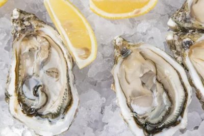 法國吉拉多牡蠣是什么品種，是凹型生蠔的一種