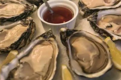 法國吉拉多牡蠣是什么品種，是凹型生蠔的一種