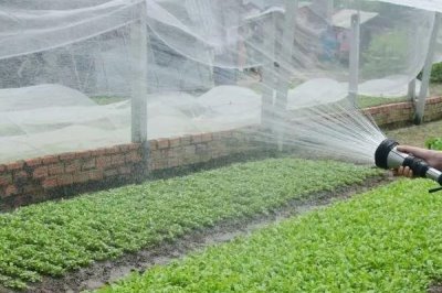 怎么給大棚蔬菜施沖施肥料，追肥與沖施肥相結(jié)合