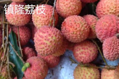 廣東省四會市的特產(chǎn)，四會玉器聞名遐邇