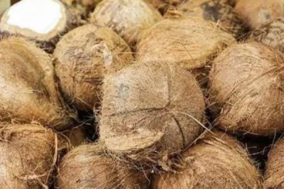 中國椰子的主產(chǎn)地，主產(chǎn)于海南、臺灣、云南等省份