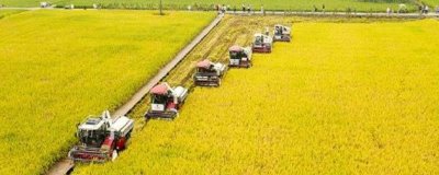 農(nóng)機補貼的辦理方式，需向所在縣級農(nóng)機主管部門提出申請