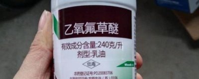 乙氧氟草醚可以除什么草，可防除單子葉和闊葉雜草