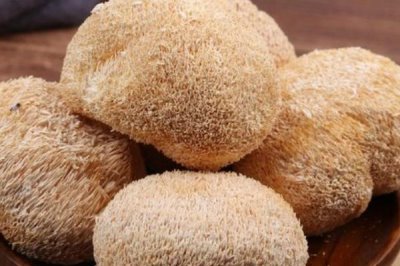 農(nóng)村種植什么食用菌具有較高的效益，香菇、木耳、平菇等品種均為不錯的選擇