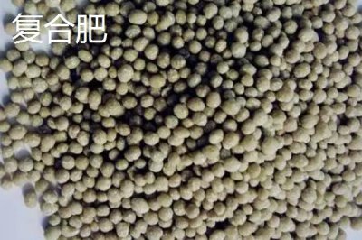 生物肥和復合肥的區(qū)別，定義、特點、用法和作用均不同