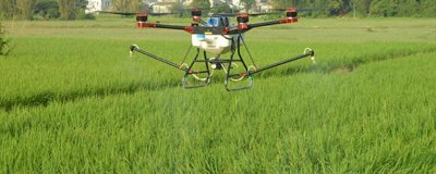 有哪些水稻田除草劑，包括吡嘧磺隆、芐嘧磺隆、丁草胺等藥物