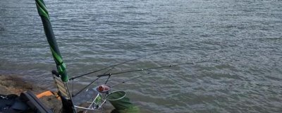 0.8號子線可以釣多大的魚，適合垂釣1-2斤的魚種