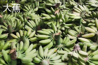 香蕉的產(chǎn)地，原產(chǎn)地是東南亞