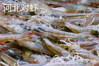 河北雄縣的特產(chǎn)，紙花產(chǎn)品暢銷全國(guó)各地