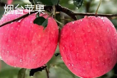山東省臨清市的特產(chǎn)，臨清醬牛蹄、濟(jì)美醬菜、拖板豆腐均為傳統(tǒng)名吃