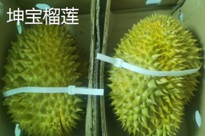 榴蓮如何防止氧化，可放入冰箱冷凍保存