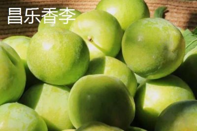 山東昌樂(lè)縣的特產(chǎn)，昌樂(lè)西瓜有200多年種植歷史