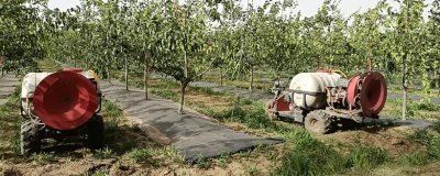 如何正確施用果園苗圃除草劑，可采用噴霧法、毒土法