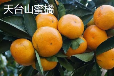 浙江省諸暨市的特產(chǎn)，同山燒被譽為“江南小茅臺”
