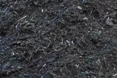 怎么用草木灰防治花卉上面的病蟲害，防治葉斑病可直接撒施