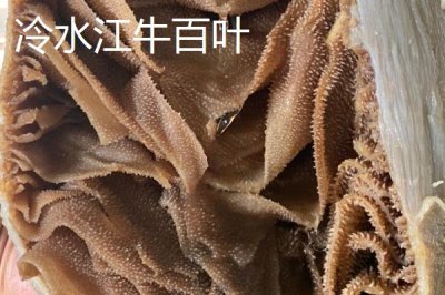 湖南冷水江市的特產(chǎn)，冷水江楊梅大如蛋