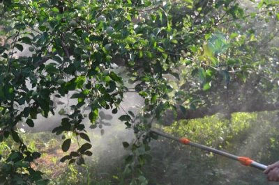 植物防凍劑的作用，主要作用是激活生物酶、殺滅冰核細(xì)菌生成和繁殖