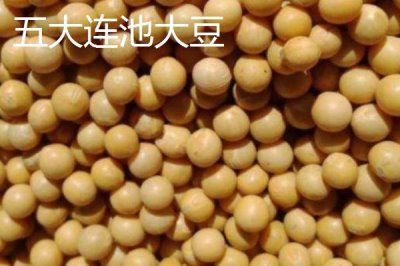 黑龍江五大連池市的特產(chǎn)，連池鴨蛋適合饋贈(zèng)親友