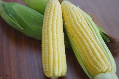 水果玉米的產(chǎn)地，可以直接生吃