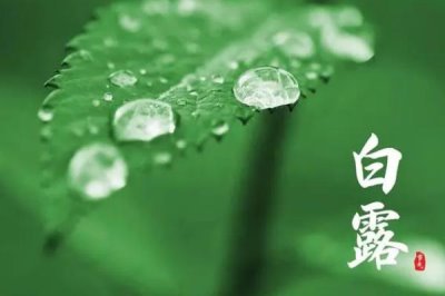 白露有哪些習(xí)俗，各地風(fēng)俗不一