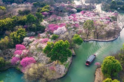 梅蘭竹菊的寓意，梅花寓意百折不撓