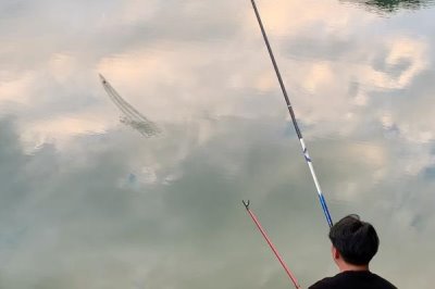 春季15到25度釣魚(yú)釣多深，適合在1米到2米之間垂釣