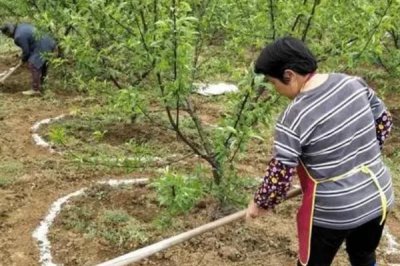 尿素使用禁忌，注意這10點