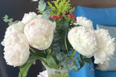 白色花放在家里不吉利嗎，現(xiàn)代社會沒有這類迷信的說法
