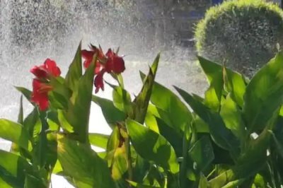 處暑節(jié)氣的處的意思，可以理解為終結(jié)