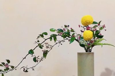 插花需要注意哪些問題，要每隔一周更換一次培養(yǎng)水