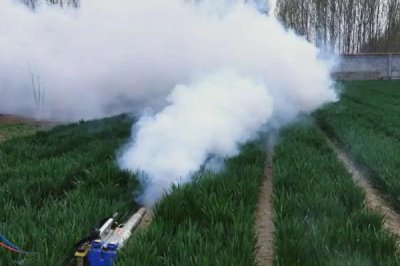 氯吡嘧磺隆使用技術，針對不同作物的使用方法不同