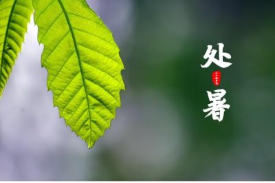 處暑節(jié)氣的含義，意味著進(jìn)入氣象意義的秋天