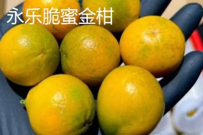 柳州市融水苗族自治縣的特產(chǎn)，包括融水糯米柚、融水香鴨、融水靈芝等種類