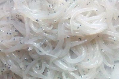 銀魚(yú)的產(chǎn)地,太湖、西湖、馬湖是三大銀魚(yú)盛產(chǎn)湖