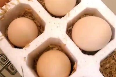 什么叫蟲(chóng)草雞蛋，就是指土雞蛋