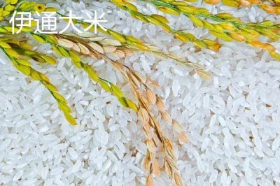 吉林省伊通滿族自治縣的特產(chǎn)，伊通大米在國內(nèi)具有較高的知名度