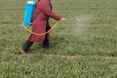 怎么使用小麥除草劑，計算好用藥量及兌水量