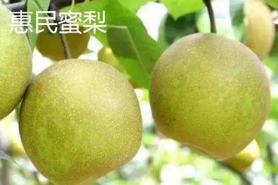 浙江省嘉善縣的特產(chǎn)，包括嘉善老酒、姚莊黃桃、六塔鱉等種類(lèi)