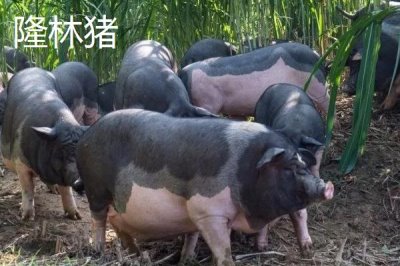 柳州市融水苗族自治縣的特產(chǎn)，包括融水糯米柚、融水香鴨、融水靈芝等種類