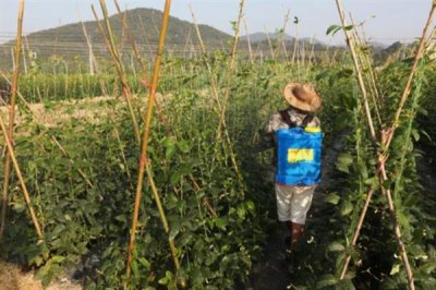 10ml雙甲脒要兌多少水，針對不同動物的兌水量不同